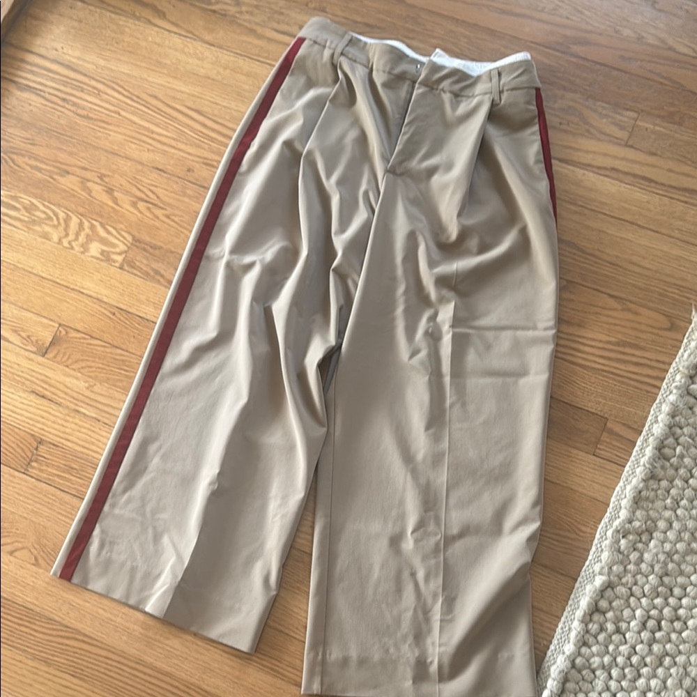 Zara Tan Chinos with Red Stripe